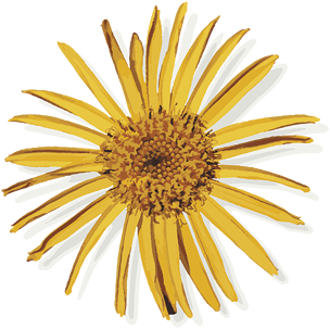 ArniCura Flower